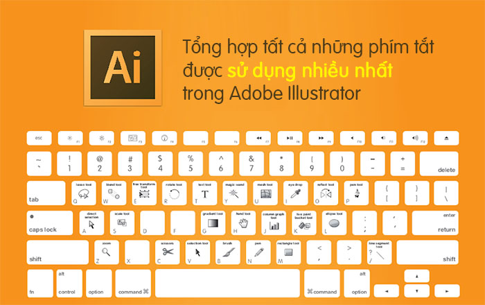 Tổng hợp tất cả những phím tắt được sử dụng nhiều nhất trong Adobe Illustrator